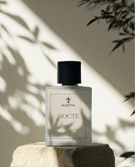 Nocte